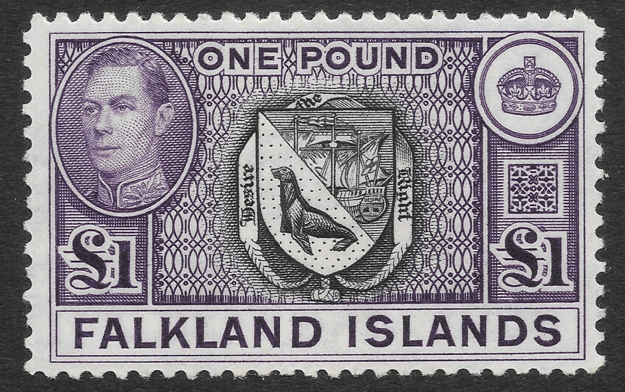 FALKLAND ISLANDS  FALKLAND ISLANDS