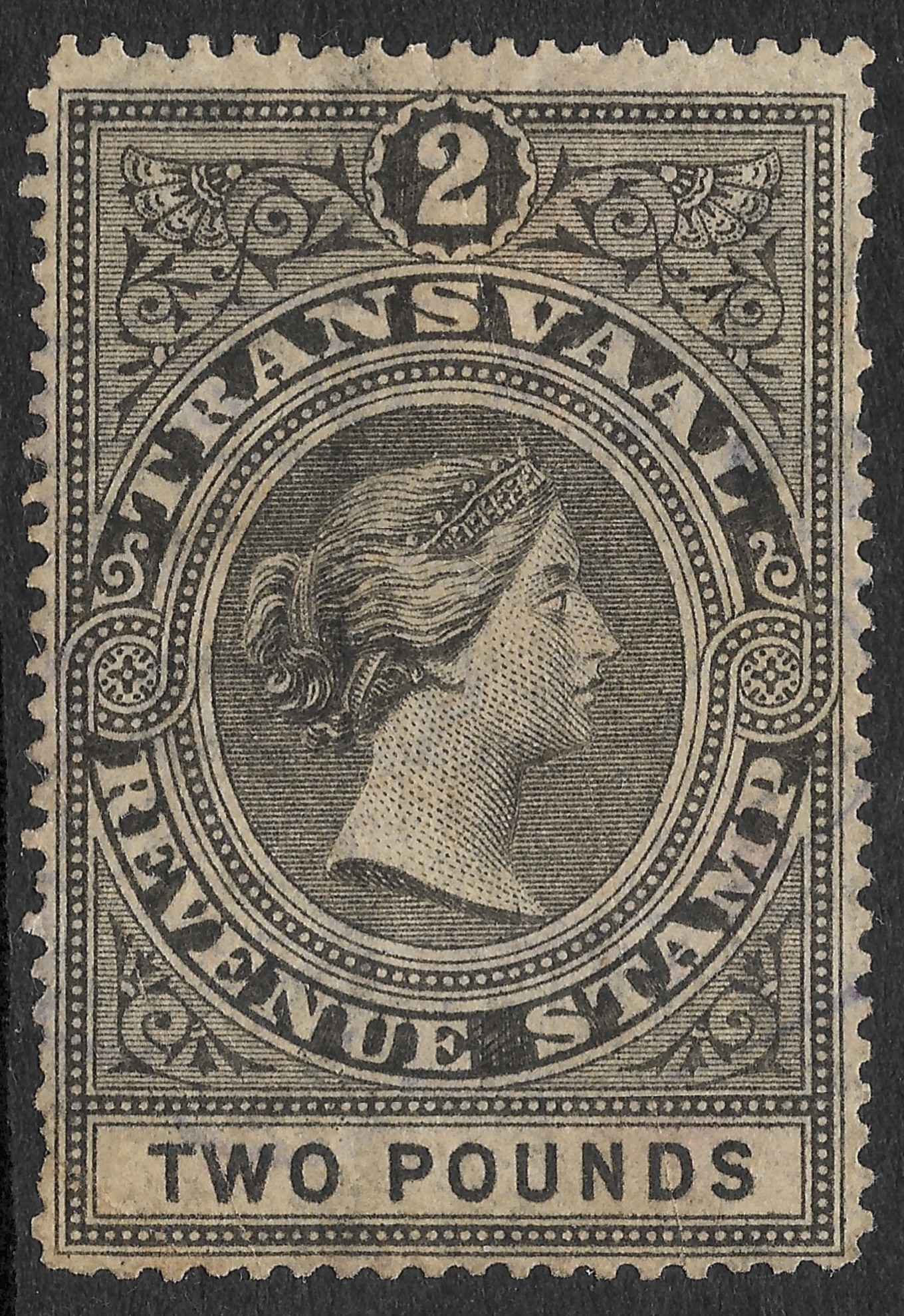 TRANSVAAL