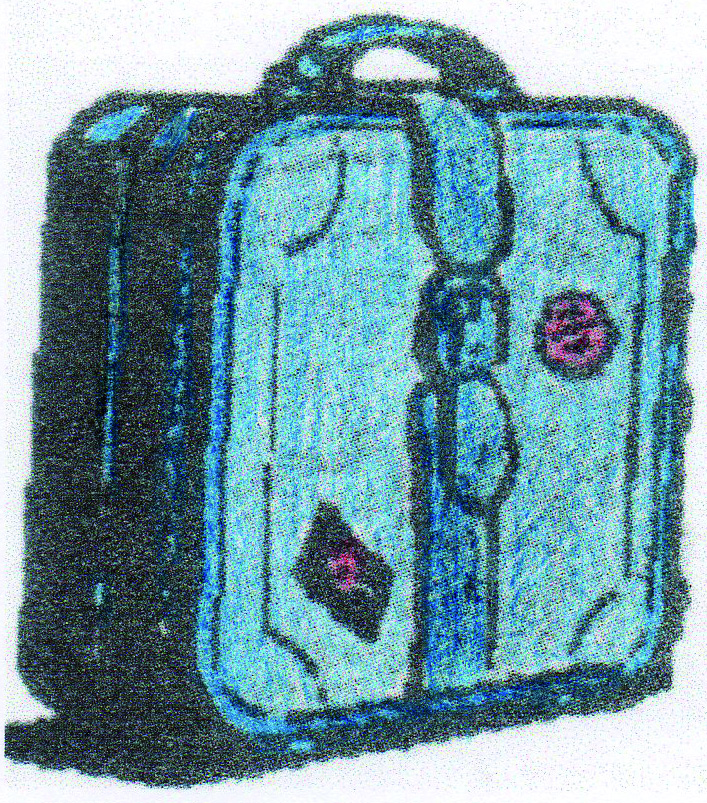 (Ref: T622) THE WHOLE WORLD IN SUITCASE